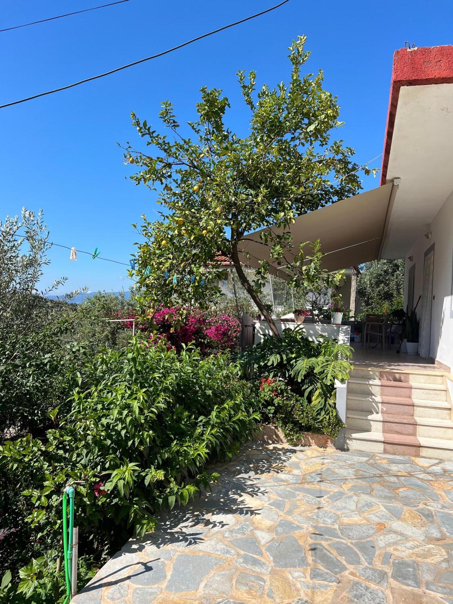 Ohanaa * Sarande